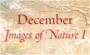 Images of Nature I