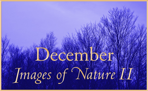 Images of Nature II