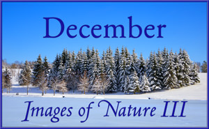 Images of Nature