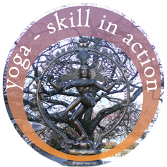 2016 February Yoga Skill In Action Gallery