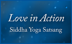Love in Action Satsang