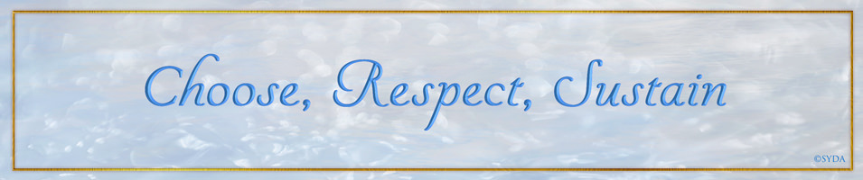 Siddha Yoga Satsang: Choose, Respect, Sustain