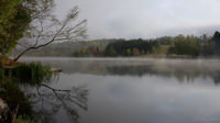 Reflection