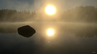 Reflection