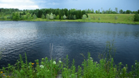 Still Lake