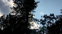 Sun and rain