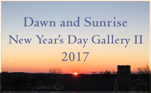 Dawn and Sunrise New Year's Day Gallery II 2017