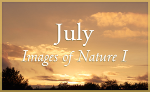 Images of Nature I