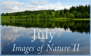 Images of Nature II