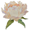 motif