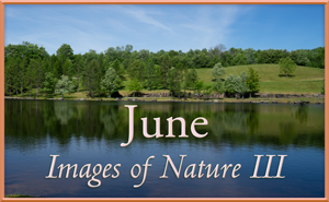 Images of Nature III