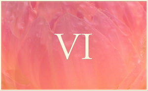 Verse VI from Yoga Vasistha