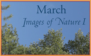 March Nature Gallery I