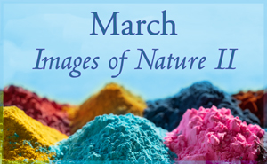 March Nature Gallery II