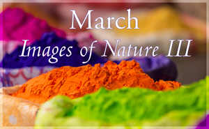 March Nature Gallery