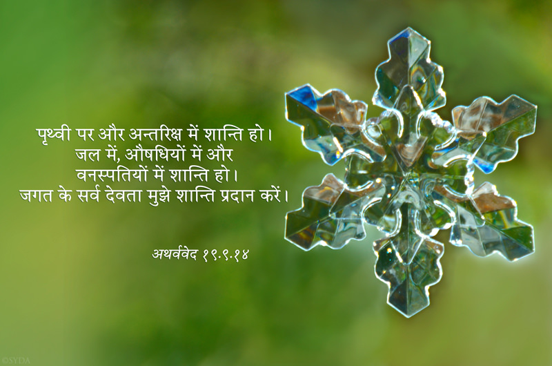 Hindi Verse