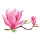 motif