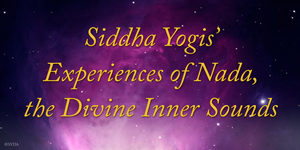 Experiences on Nada