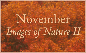 Images of Nature II