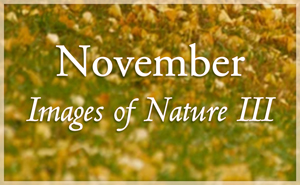 Images of Nature III