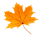 motif