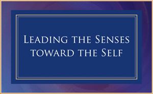 Leading the Senses towards the Self