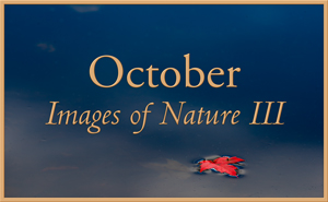 Images of Nature III