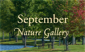 September Nature Gallery