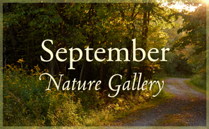 September Nature Gallery