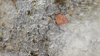 Frozen Current