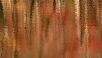 Pink lake