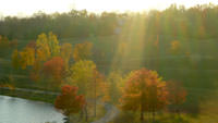 SMA Autumn