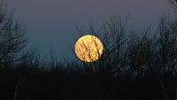 Super big moon