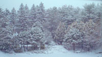 Wonderful Snowfall