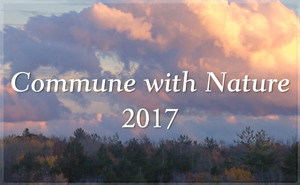 Commune with Nature 2017