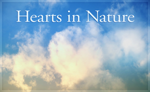 Hearts in Nature I
