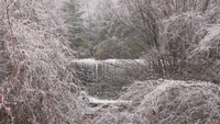 Winter 3