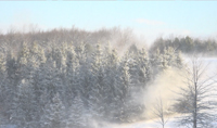 Winter 49