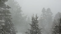 Winter 6