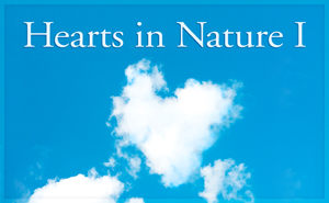 2018Â HeartsÂ InÂ NatureÂ GalleryÂ 1