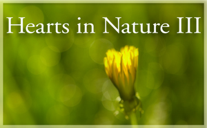 2018Â HeartsÂ InÂ NatureÂ GalleryÂ 3