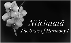 Niscintata - The State of Harmony I