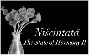 Niscintata - The State of Harmony II