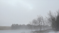Winter 10