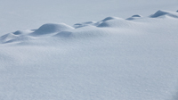 Winter 11