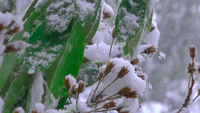 Winter 12