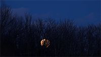 Winter 3