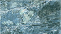 Winter 9