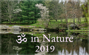 Aumn Nature