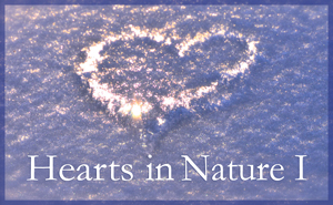 2019Â HeartsÂ InÂ Nature
